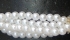 Mini Pearl White
Beaded Wristlet Wristlet Color