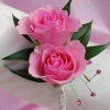 Pink Sweetheart Rose Boutonniere - Pink