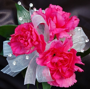 Hot Pink Mini Carnation Corsage - Ht Pink