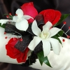 Red Sweetheart Rose and White Orchid Corsage - Black