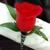 Red Rose Boutonniere - Black