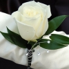 White Rose Boutonniere - Black