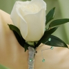 White Rose Boutonniere - Green