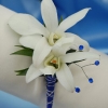 White Orchid Boutonniere - Blue