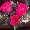 Hot Pink Sweetheart Rose Corsage - Ht Pink