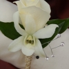 White Sweetheart Rose and White Orchid Boutonniere - Gold