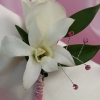 White Sweetheart Rose and White Orchid Boutonniere - Pink