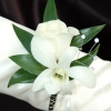 White Sweetheart Rose and White Orchid Boutonniere - Black