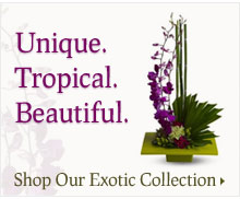 Exotic Collection