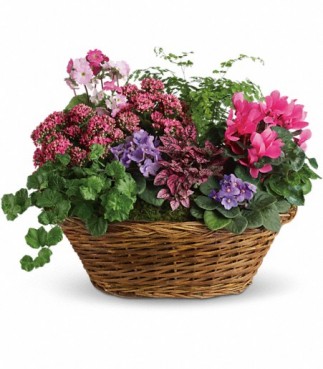 Simply Chic Plant Basket