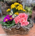 Butterfly Garden Basket